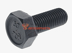 Болт М10*25*1,25 крепления шаровой, суппорта 2108