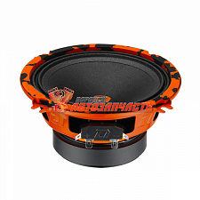 Акустика DL Audio Barracuda 130 v2